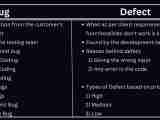 Bug Vs Defect Difference Between Bug And Defect Ds