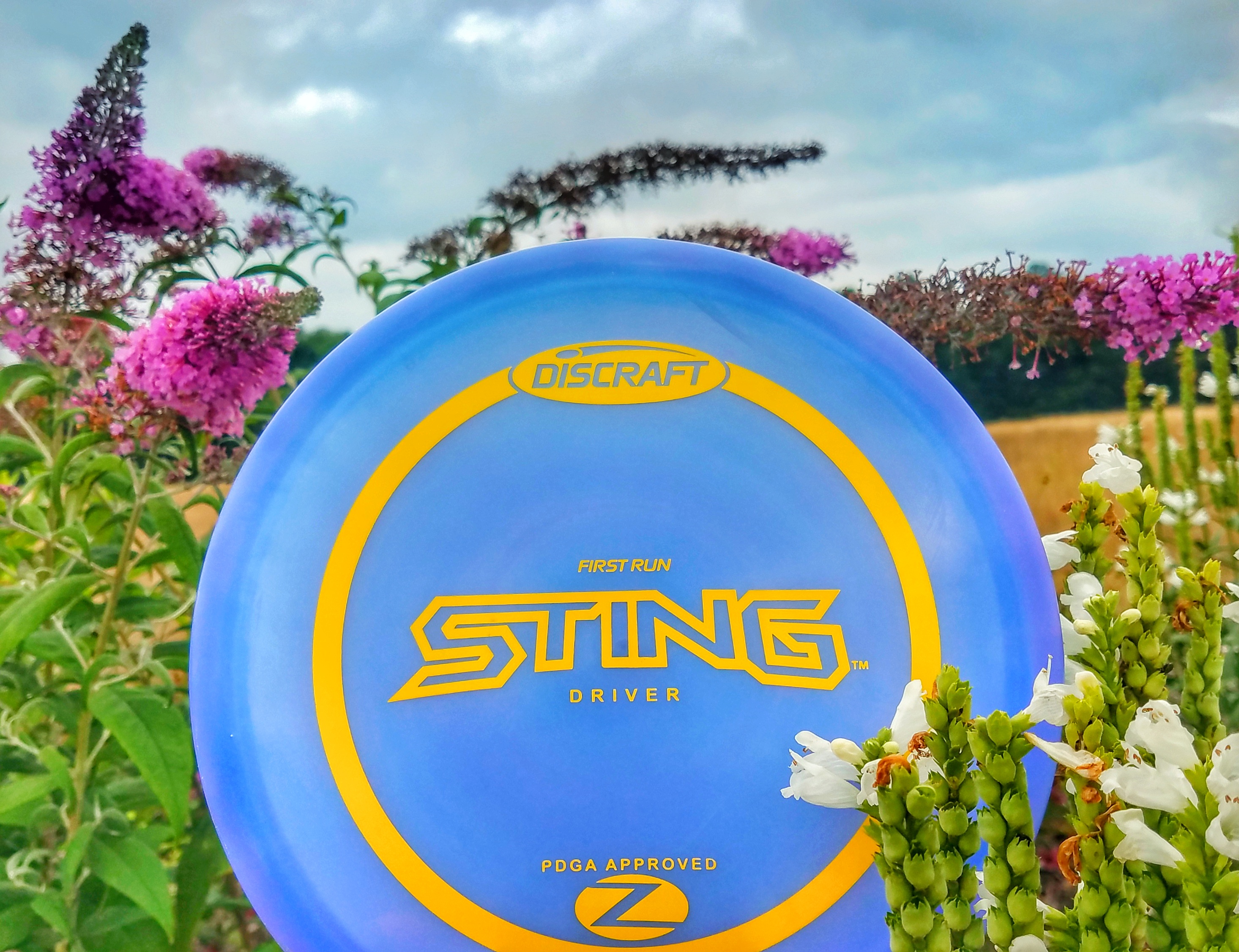 スティング/STING「BEST for D.J.」 Discraft Sting Review - Disc Golf Puttheads