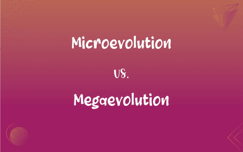 Microevolution Vs Evolution By David Dodge On Prezi - Geometric Illustration Collection - Desktop Quality