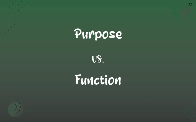 Purpose Vs Function What S The Difference - Best City Textures in Mobile