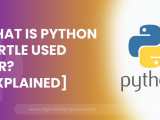 What Is Python Turtle Used For Explained