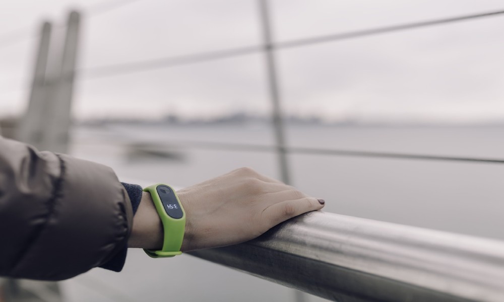 Fitbit Versa 2 Straps