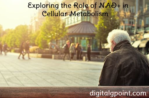 Molecular Function of NAD+