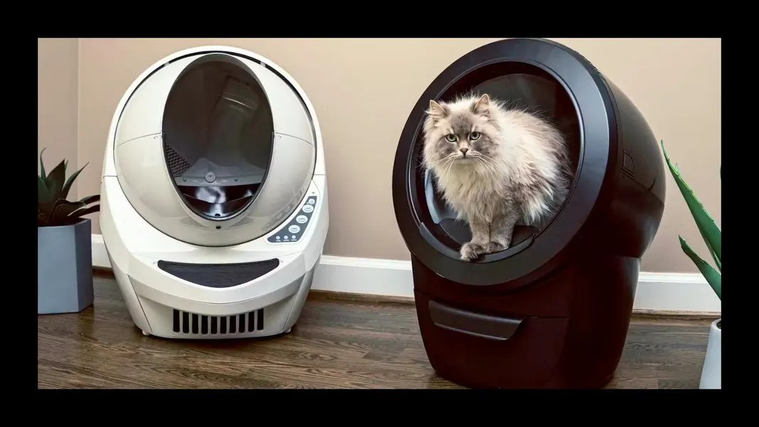 Benefits of Using a Litter Robot