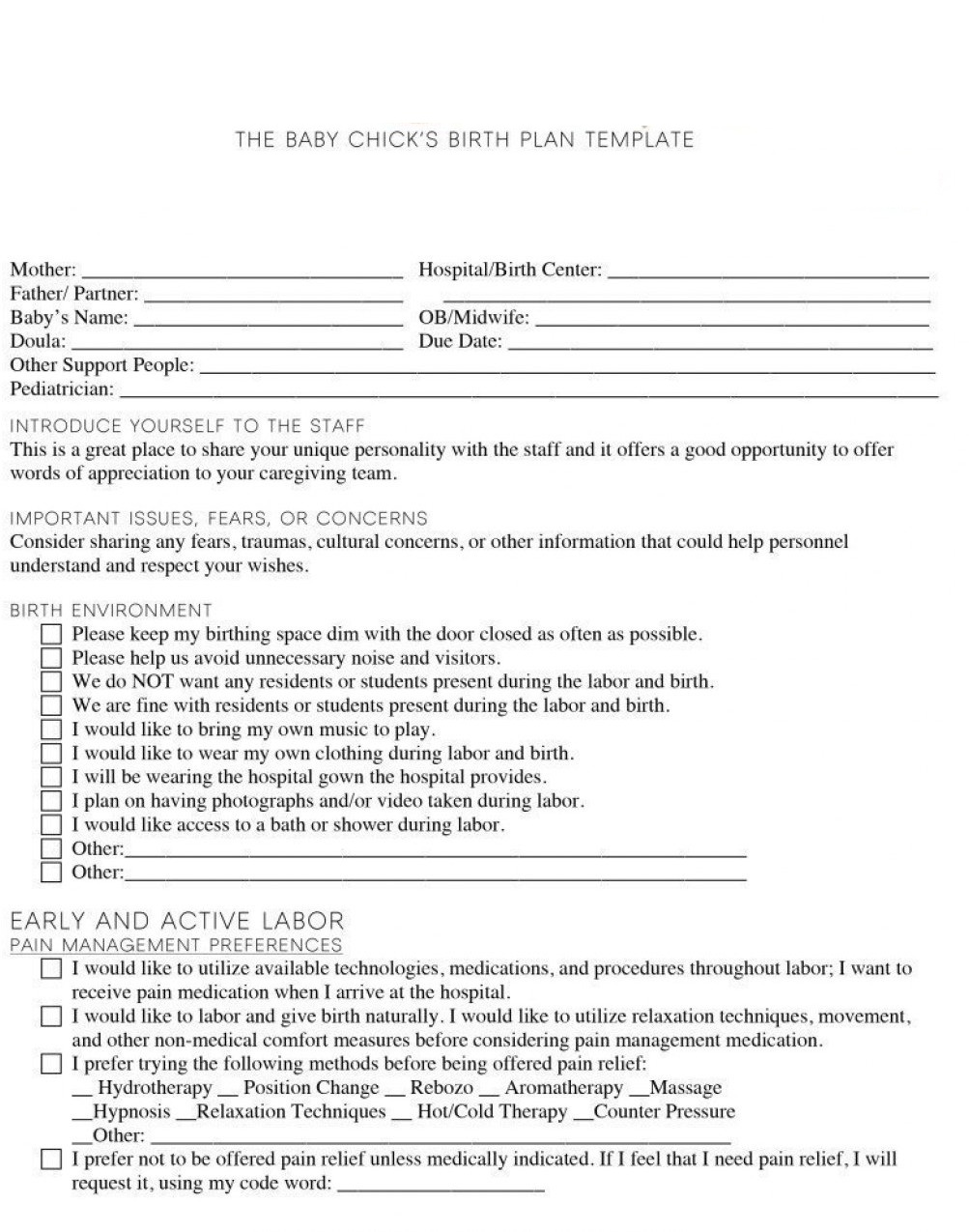 sample birth plan template