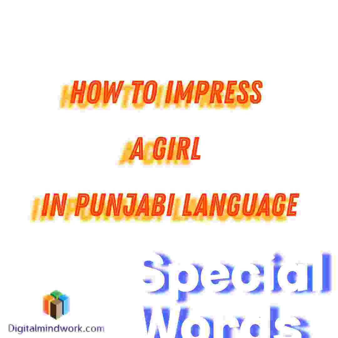 How To Impress A Girl In Punjabi Language, Love Shayari In Punjabi Language, Punjabi Sweet Status, How Do You Say Love In Punjabi,