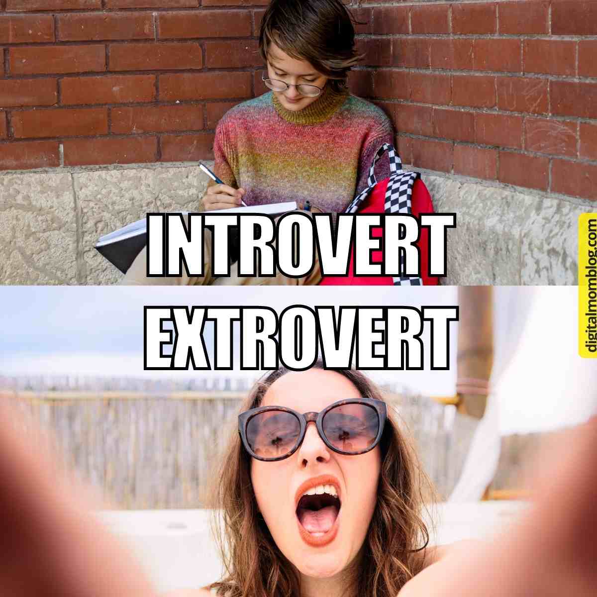 50 Funny Introvert Memes That Will Make You Say OMG Thats Me (2024)