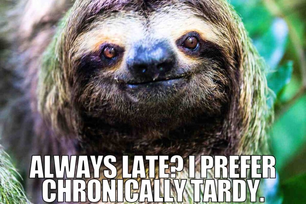 50 funny late memes about procrastination and being tardy
