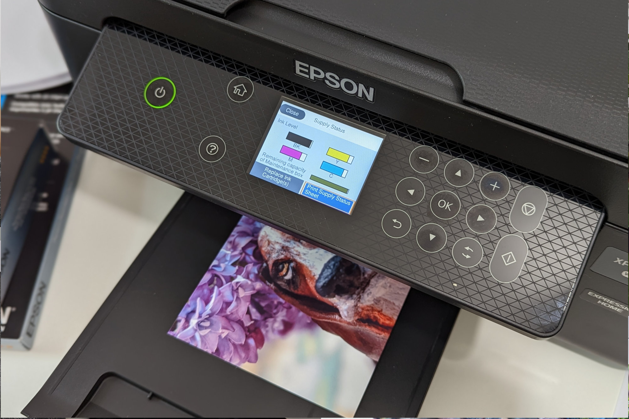 Epson Expression Home XP-4200: una stampante all-in-one economica ...