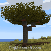 Acacia Tree Set 4 Mc Market