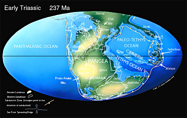 DISCOVERING FOSSILS How Great Britain Formed Triassicmap 
