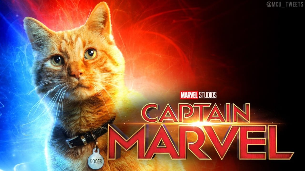 Everything you ever wanted to know about captain marvel's goose the cat