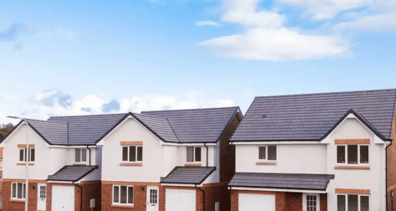 How Spray Cork Helps Families Beat Damp and Mould at Home
