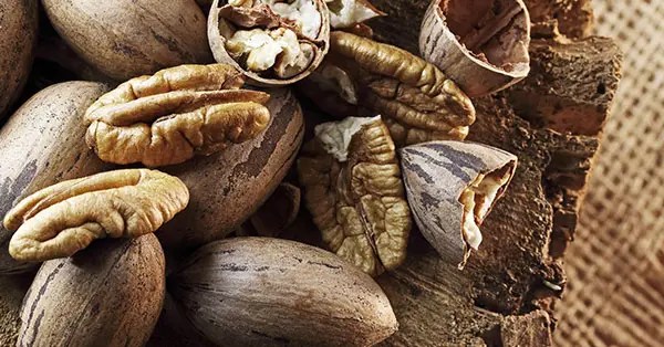 Do pecans go bad? learn how to store them properly