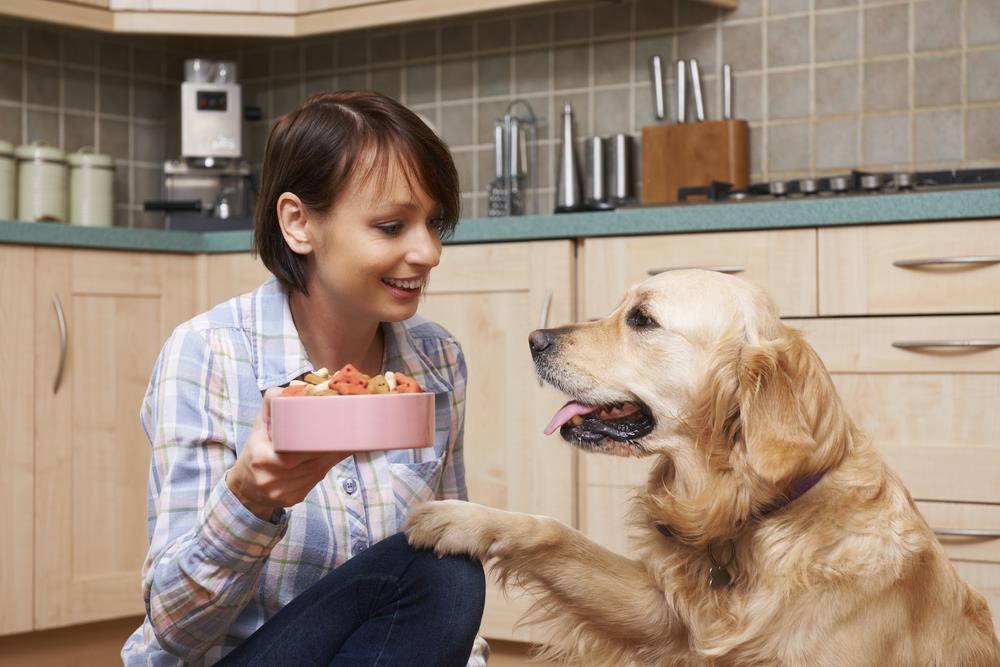 Diabetes impacts the lives of more than 34 million americans, which adds up to more than 10% of the population. Top 5 Foods For Dogs With Diabetes Dogexpress