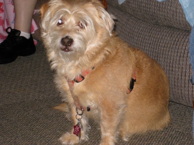 Jake