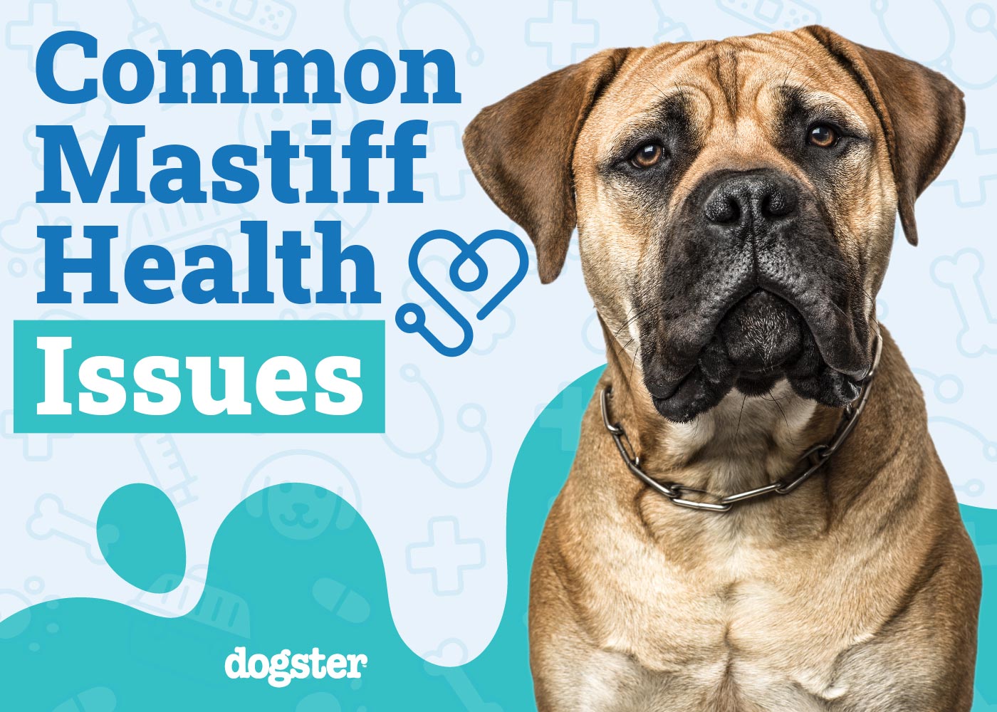 Mastiff Health Problems: Essential Tips for a Healthy Life