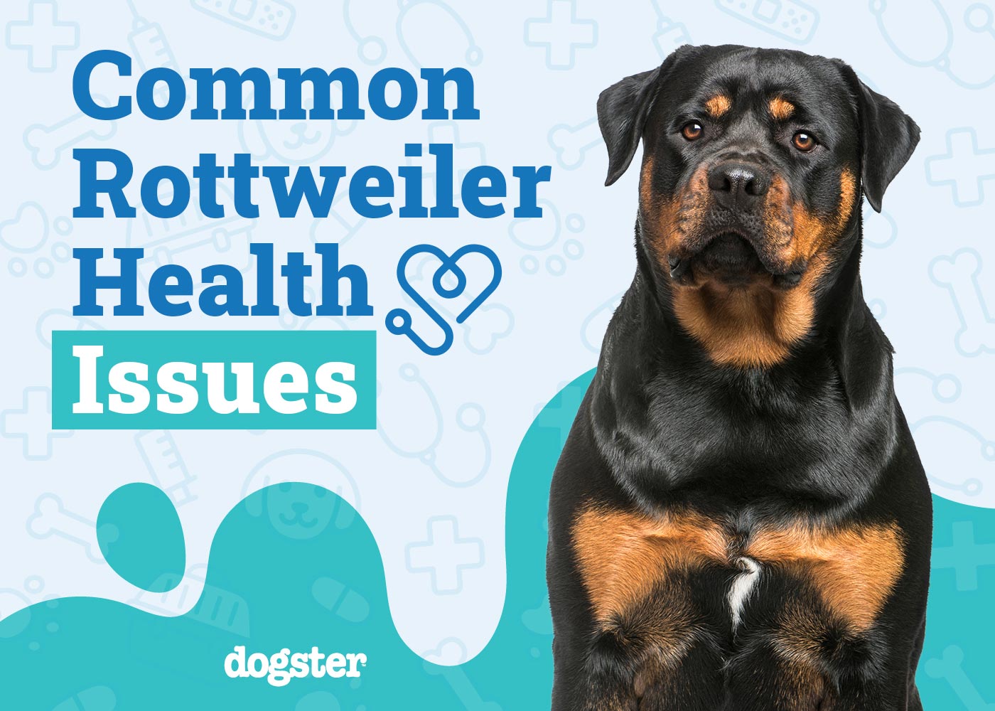 Common Health Problems In Rottweilers: Essential Health Guide