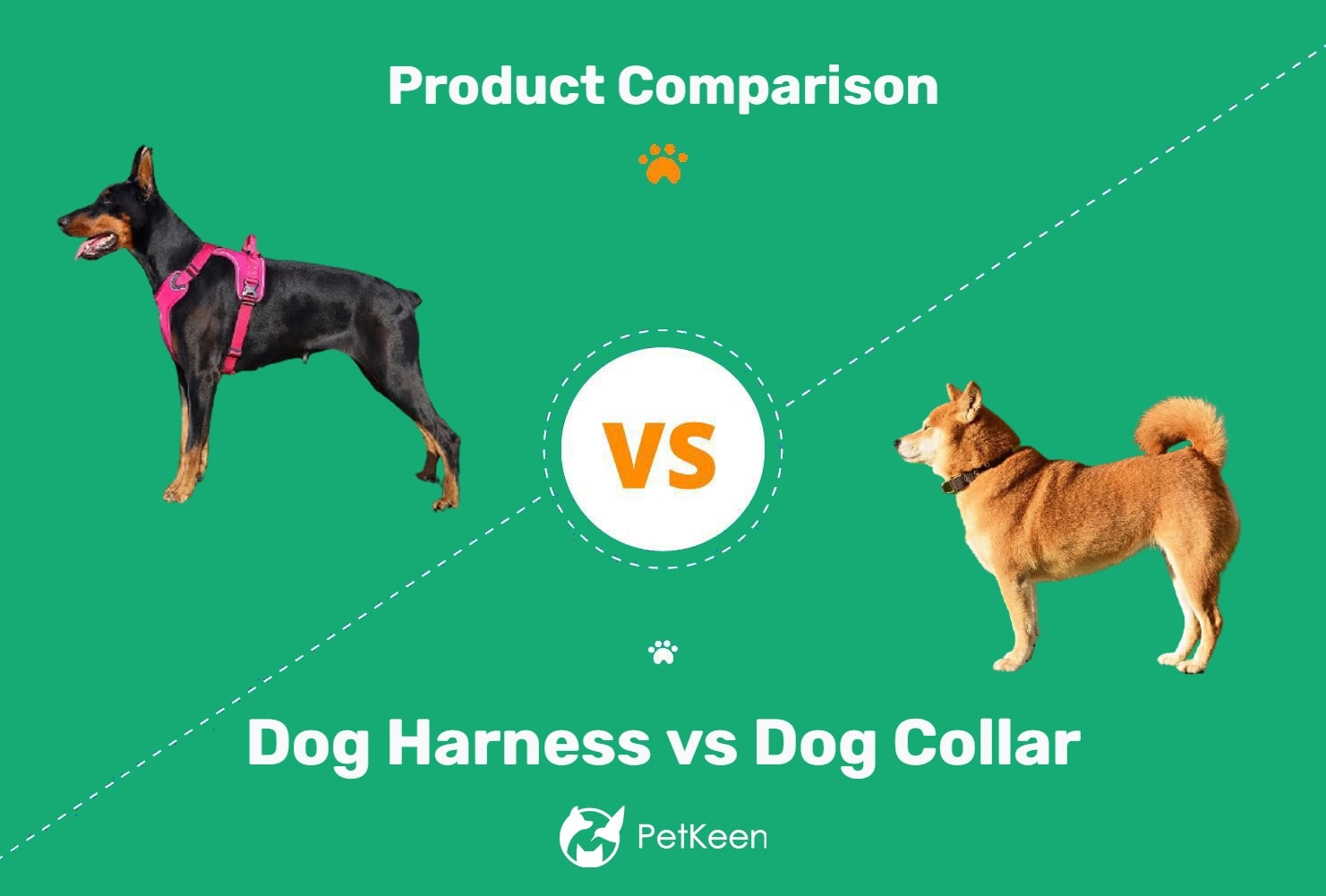 Pros And Cons of Dog Collars: Essential Insights for Pet Owners
