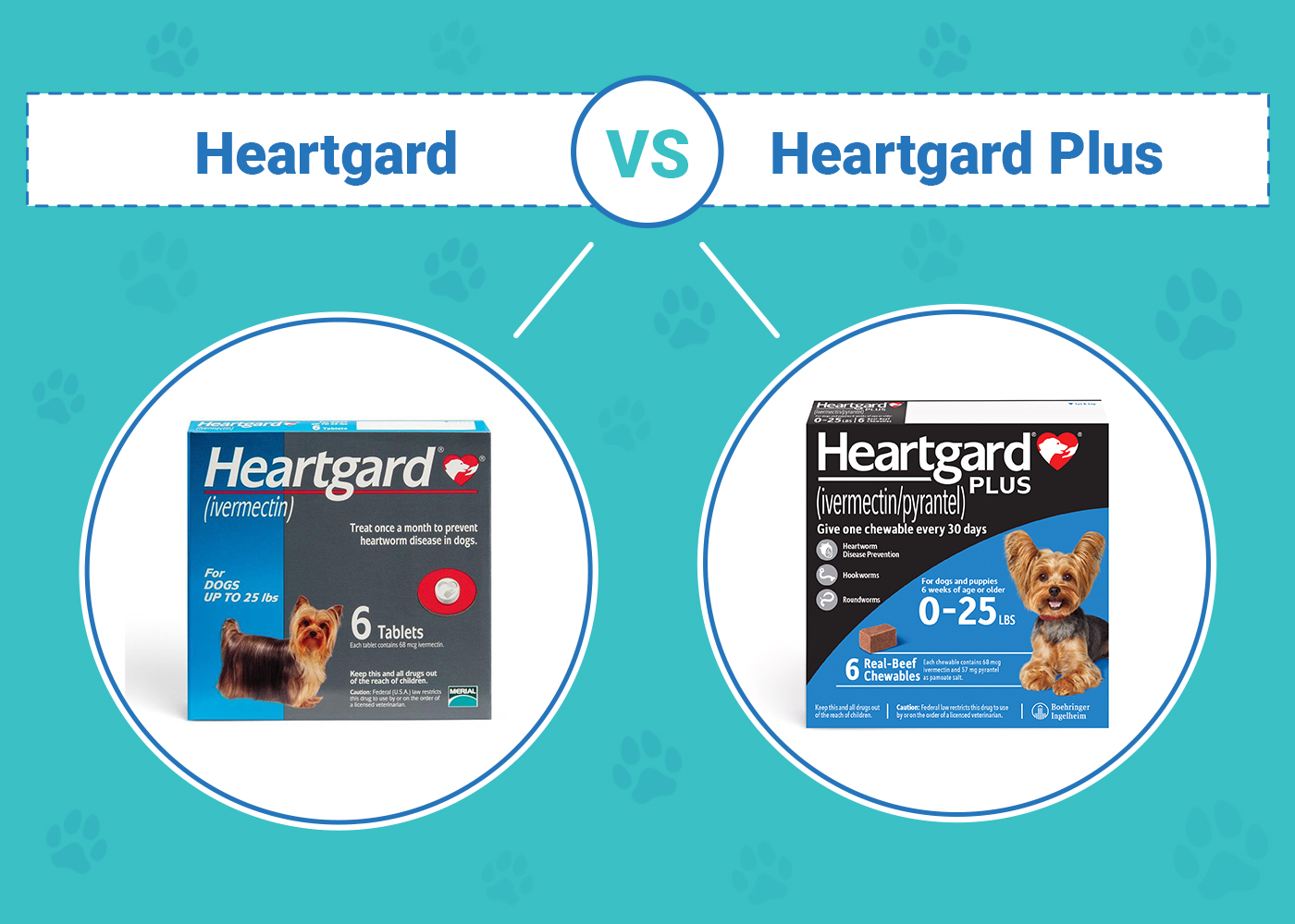 Heartgard Vs Heartgard Plus: Ultimate Showdown