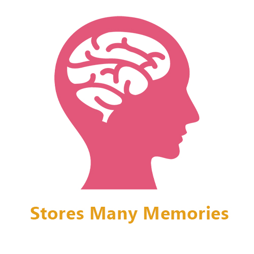 stores many memories