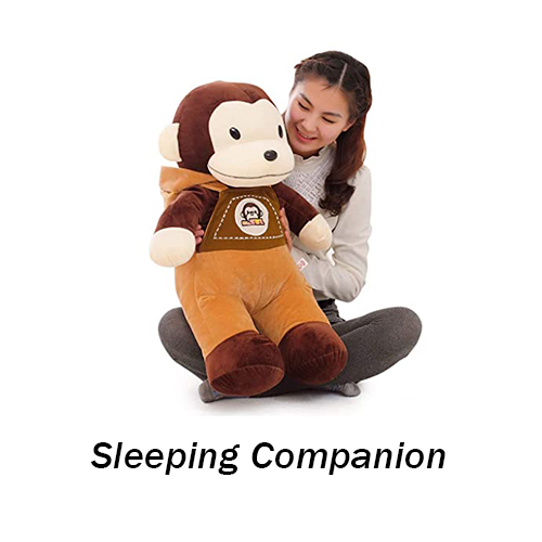 sleeping companion