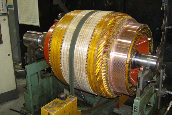Dolphin Electric India