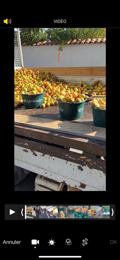 foire d'automne livradois forez