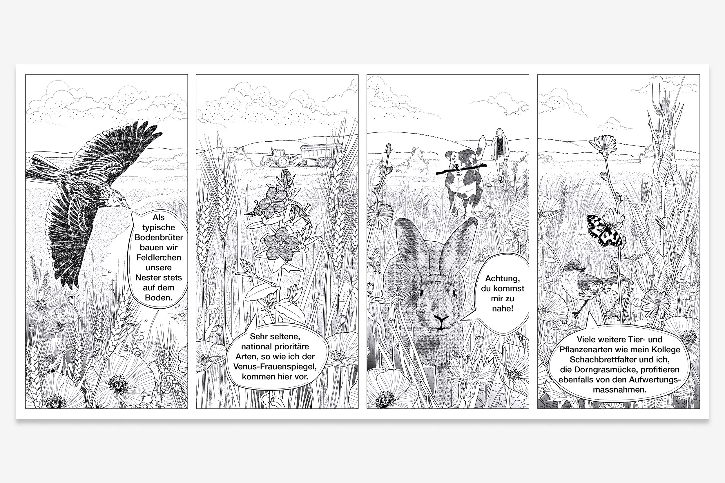 Comic über die Besonderheiten und Flora und Fauna des Lebensraumes 