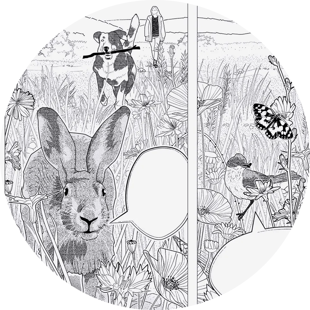 Flurgebiet «Wiide»