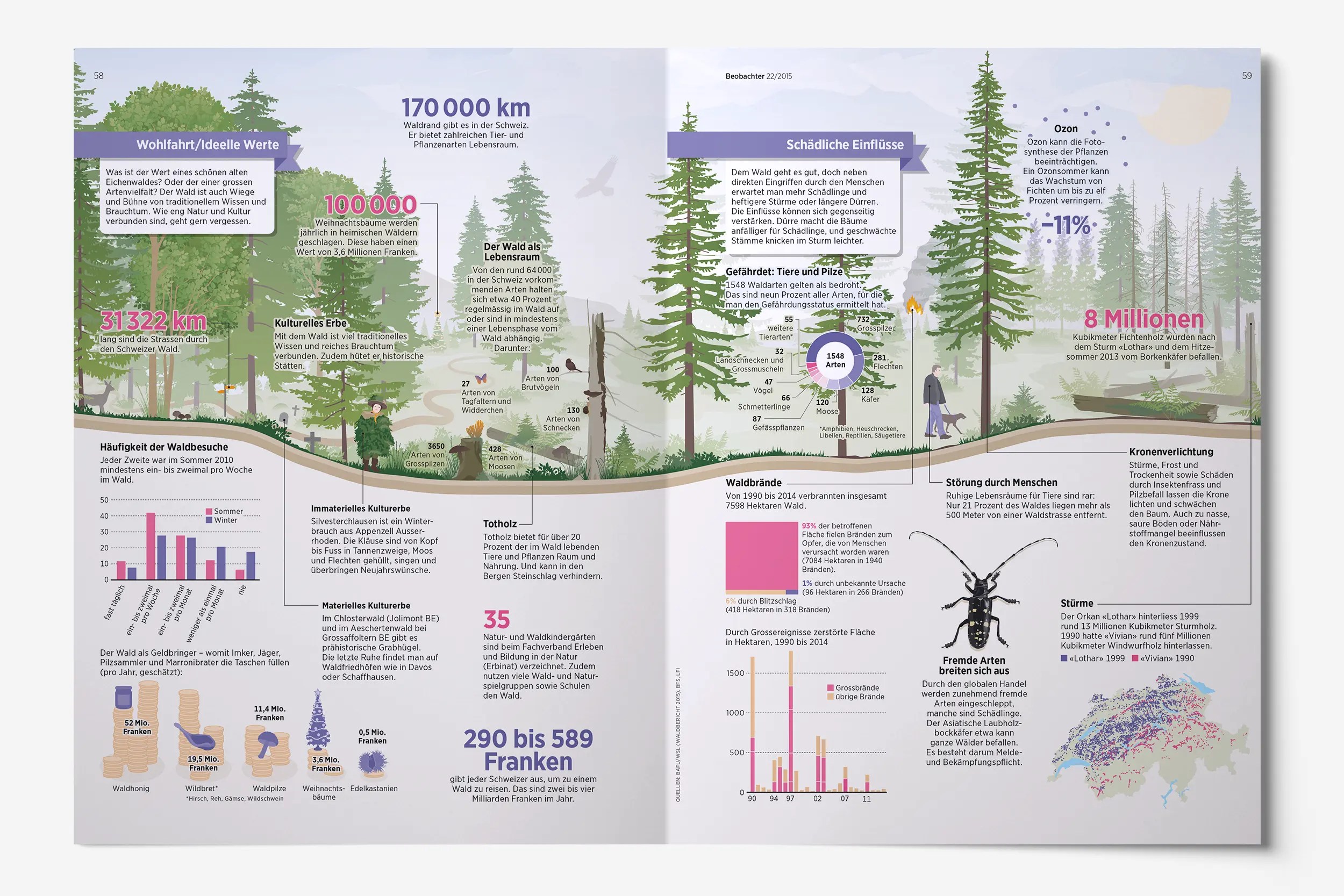 Infografik mit Daten und Fakten rund um den Schweizer Wald. Die Visualisierungen auf grünem und beigem Hintergrund behandeln Themen wie die Artenvielfalt gefährdeter Tiere und Pilze, kulturelle Werte, die Häufigkeit von Waldbesuchen sowie schädliche Einflüsse durch Stürme, Schädlinge und Waldbrände. Ein Säulendiagramm zeigt die durch Grossereignisse zerstörte Waldfläche, während eine Schweizer Karte die durch die Orkane Lothar und Vivian verursachten Sturmschäden verortet. Infografik von Andrea Klaiber.