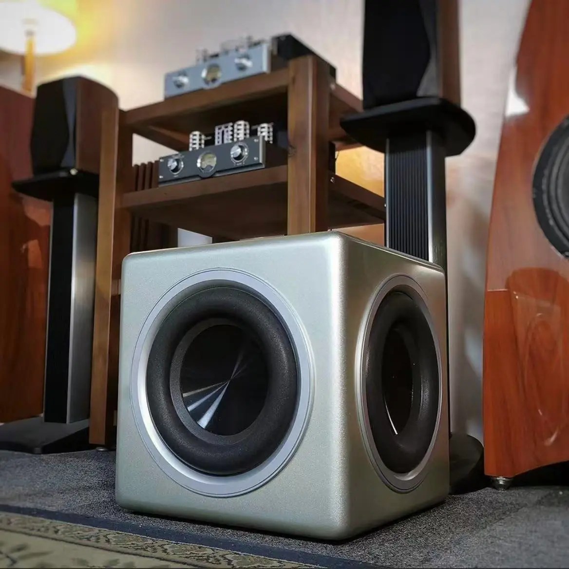 DSW8 POWERED SUBWOOFER