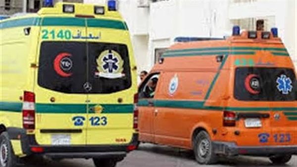 غرق عامل في الرياح البحيرى بكوم حمادة