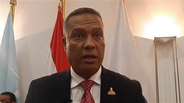 النائب محمد حمزة: كلمة الرئيس في إفطار الأسرة المصرية وضعت خريطة طريق لمواجهة التحديات