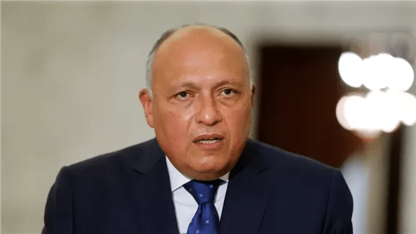 اليابان تمنح وسام الشمس المشرقة لسامح شكري ومحمد معيط تقديراً لجهودهما