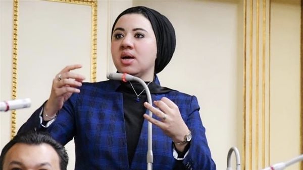 أميرة صابر: الحضانة المشتركة تجربة دولية ناجحة يجب تطبيقها بما يحقق مصلحة الطفل