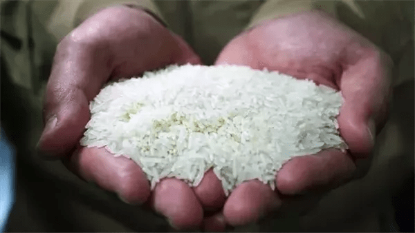 أسعار الأرز الشعير اليوم الاثنين 2 فبراير 2026.. تحديث يومي