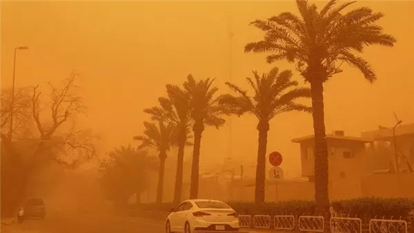 حالة الطقس اليوم الأحد 15-2-2026.. موجة حارة ورياح مثيرة للرمال والأتربة