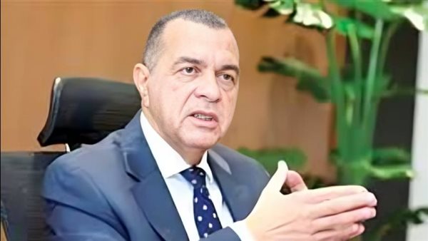 المالية: دمج التجارة الإلكترونية بشكل أكبر لتعزيز تنوع الاقتصاد المصري