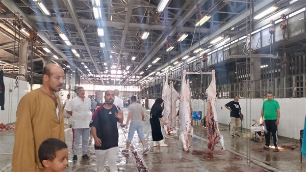 الهيئة البيطرية: تنفيذ جولات ميدانية من الإدارة العامة للمجازر بالمحافظات