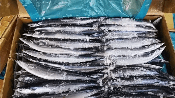 اسعار الاسماك والمأكولات البحرية اليوم الثلاثاء 31 من مارس 2026