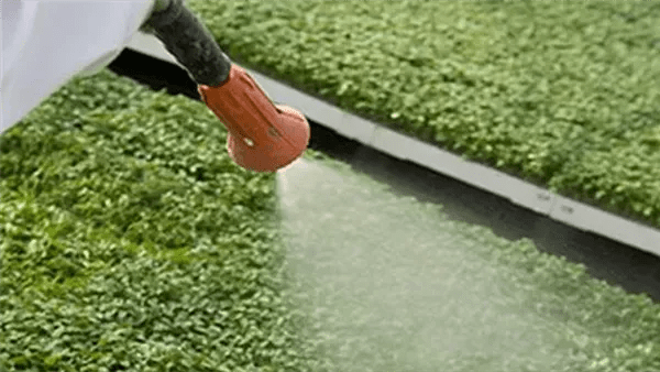 الزراعة تعلن فتح باب العضوية للاتحاد العام لمنتجي ومصدري الحاصلات البستانية لدعم المزارعين