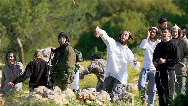 قبل قطف الزيتون.. مستوطنون يحرقون 3 مركبات في الضفة الغربية لمهاجمة المزارعين