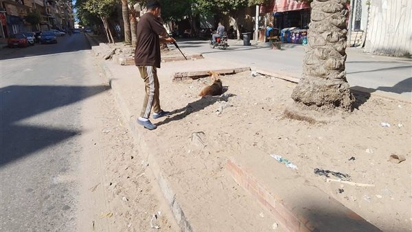 حملات ميدانية لمواجهة سعار الكلاب في دمياط 