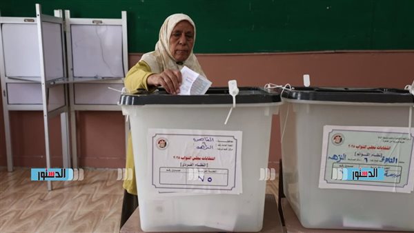 الإدارية العليا تبطل انتخابات دائرة أبو تيج بأسيوط وإعادة الانتخابات فيها