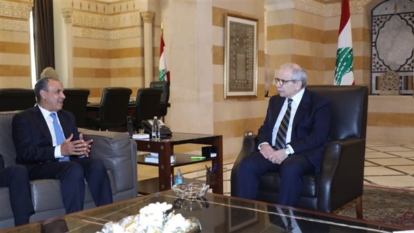 وزير الخارجية يعرب عن قلق مصر من وتيرة الاعتداءات الإسرائيلية في لبنان