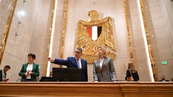 النائب طارق رضوان يلتقي الممثل الخاص للاتحاد الأوروبي لحقوق الإنسان