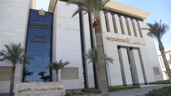 الزراعة تنفي علاقة النمل الأبيض بانهيار منازل في الأقصر.. وتكشف الأسباب الحقيقية