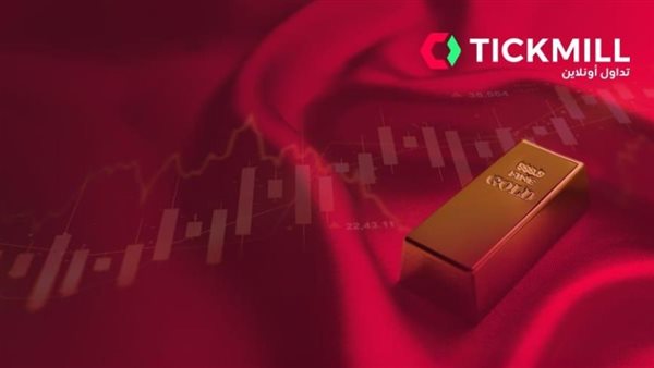 كيف يتفوّق المستثمرون المؤسساتيون على ركود الأسواق؟