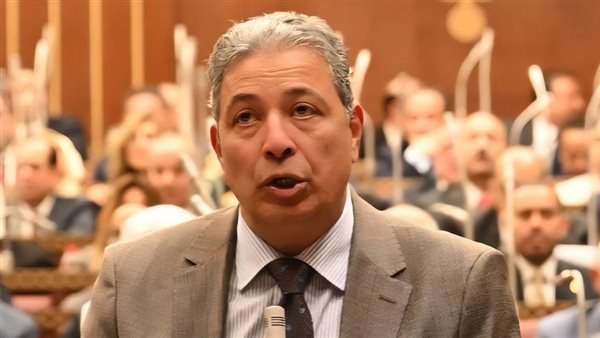 نائب يرفض تغول وزارة الشباب على اختصاصات المهن الرياضية